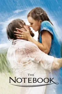 The Notebook (2004) BluRay Dual Audio [Hindi ORG. + English] 480p [350MB] | 720p [1.2GB] | 1080p [2.6GB]
