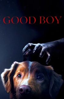 Good Boy (2025) AMZN WEB-DL [English With Subtitles] Full Movie 480p | 720p | 1080p | 2160p 4K