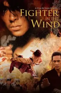 Fighter In The Wind (2004) BluRay Dual Audio {Hindi-Korean} 480p [450MB] | 720p [1.2GB] | 1080p [2.6GB]