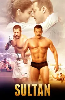 Sultan (2016) BluRay Hindi Full Movie 480p | 720p | 1080p | 2160p 4K