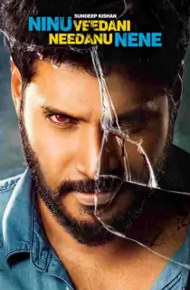Main Hoon Sarfira – Ninu Veedani Needanu Nene (2022) WEB-DL Dual Audio [Hindi ORG. + Telugu] Full Movie 480p | 720p | 1080p