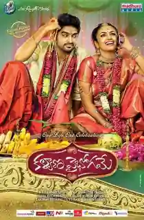 Kalyana Vaibhogame (2016) UNCUT Dual Audio [Hindi ORG. + Telugu] WEB-DL 480p [500MB] | 720p [1.3GB] | 1080p [2.9GB]