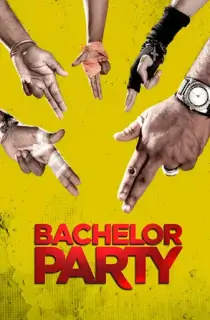Bachelor Party (2012) Hindi Full Movie 480p [400MB] | 720p [1.2GB] | 1080p [2.4GB]