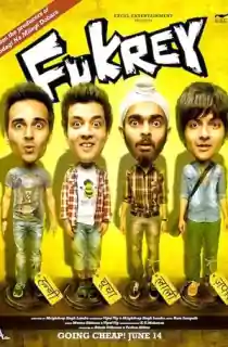 Fukrey (2013) BluRay Hindi Full Movie 480p | 720p | 1080p