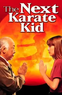 The Next Karate Kid (1994) BluRay Multi Audio [Hindi ORG. + English + Tamil + Telugu] Full Movie 480p [600MB] | 720p [1.2GB] | 1080p [2GB]