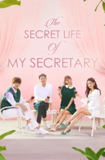 The Secret Life Of My Secretary (2019) Season 1 [Hindi + Multi Audio] Complete K-Drama WEB Series 720p | 1080p WEB-DL