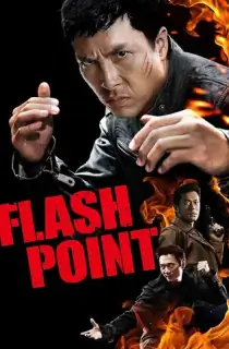 Flash Point (2007) BluRay Dual Audio [Hindi ORG. + Chinese] Full Movie 480p | 720p | 1080p
