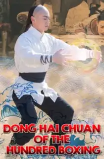 Dong Hai Chuan of the Hundred Boxing (2018) WEB-DL Dual Audio [Hindi ORG. + Chinese] Full Movie 480p | 720p | 1080p