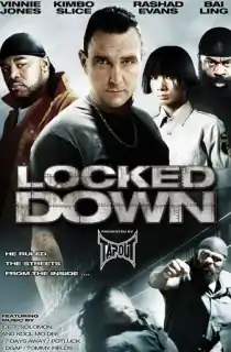 Locked Down (2010) BluRay Dual Audio [Hindi ORG. + English] Full Movie 480p [350MB] | 720p [900MB] | 1080p [1.7GB]