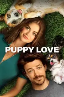 Puppy Love (2023) {English With Subtitles} WEB-DL 480p [320MB] || 720p [860MB] || 1080p [2GB]